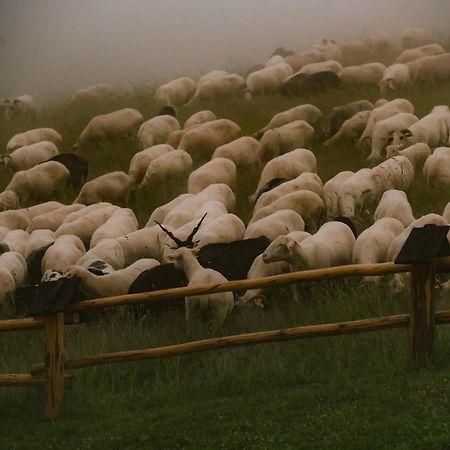 Osada Matygowka Villa Gliczarów Buitenkant foto
